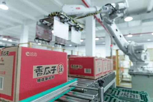 上市以來營收利潤首次同步下滑，洽洽食品新一年如何破局？
